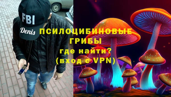 ГАЛЛЮЦИНОГЕННЫЕ ГРИБЫ Магадан