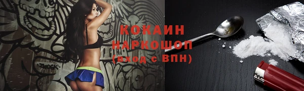 стаф Магас