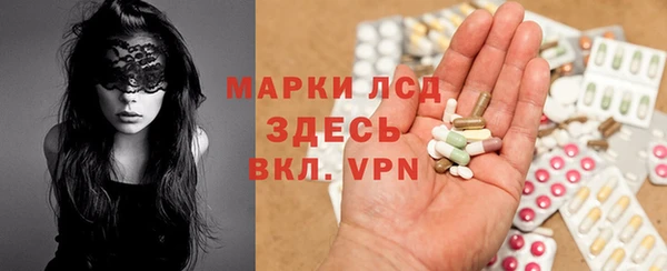 стаф Магас