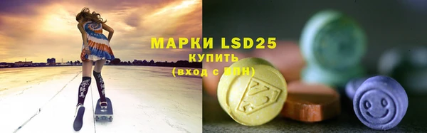 ГАЛЛЮЦИНОГЕННЫЕ ГРИБЫ Магадан